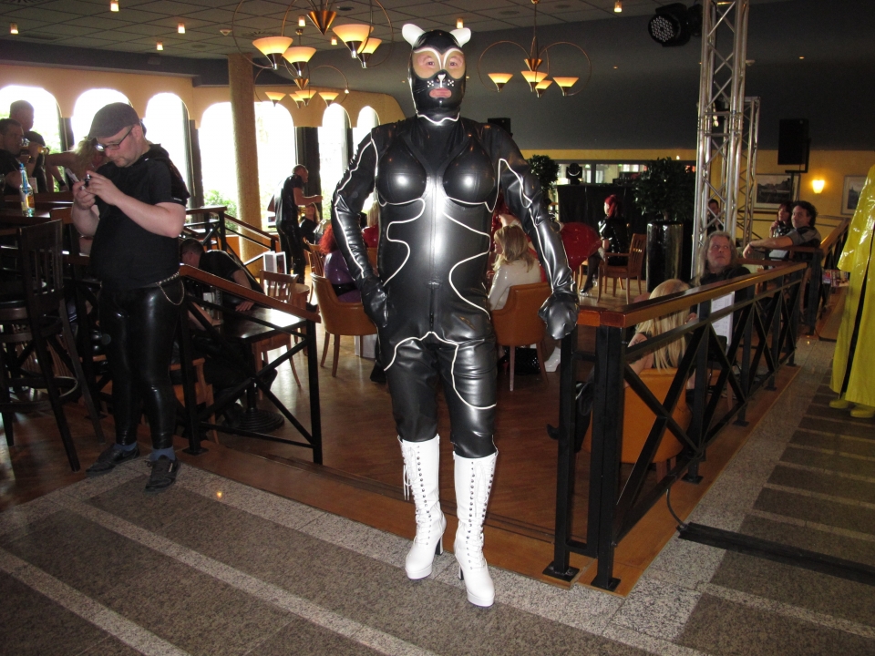 ein Katze im Restaurant