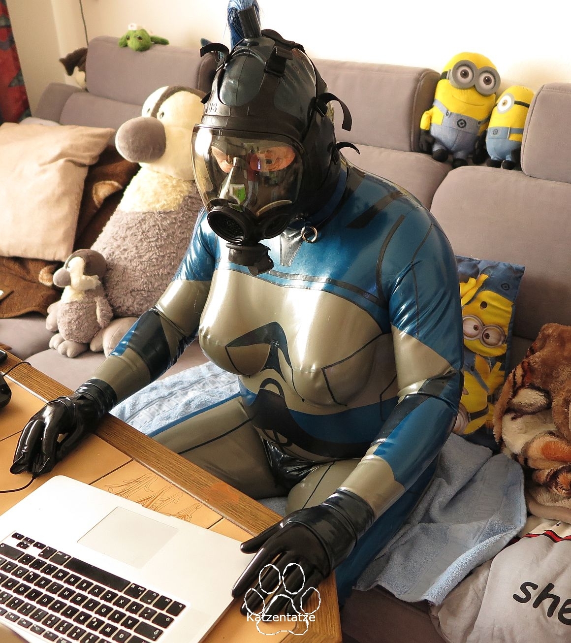 Katzentatze am Computer 3