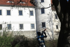 vor dem Schloss Nossen