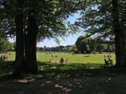 im englischen Garten