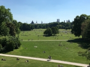 im englischen Garten