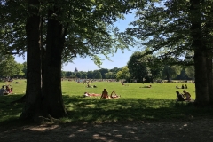 im englischen Garten