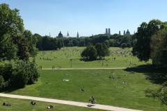 im englischen Garten