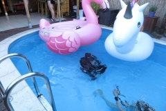 Latextrem Ansichten Pool