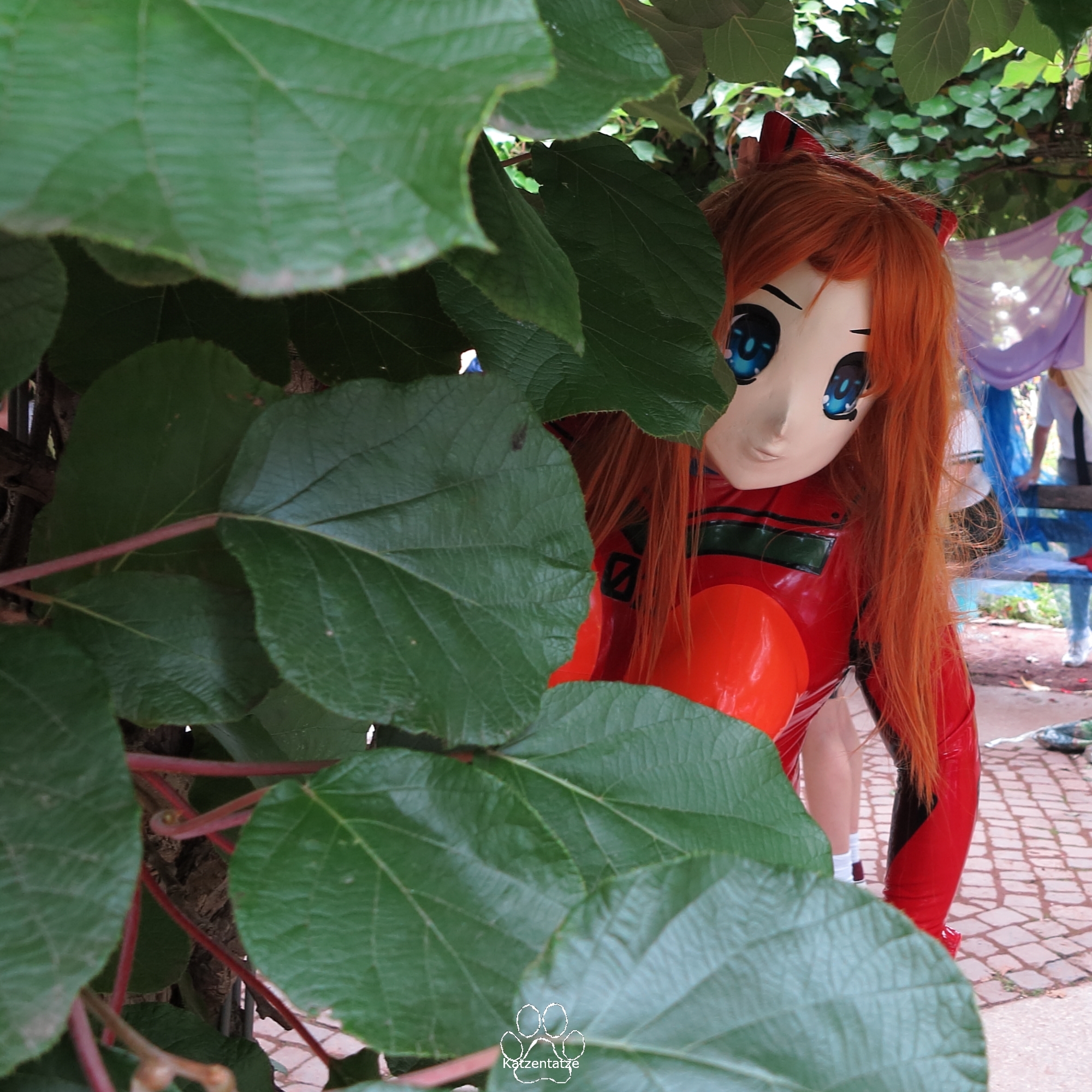 Asuka schaut aus dem Busch