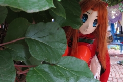 Asuka schaut aus dem Busch