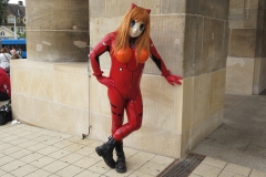 Asuka als Bordsteinschwalbe