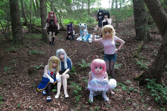 Gesamtbild im Wald
