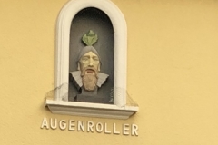 ein Augenroller guckt und zu