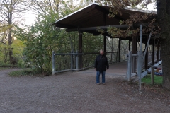 im englischen Garten