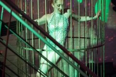 die Poledance-Tänzerin im Käfig