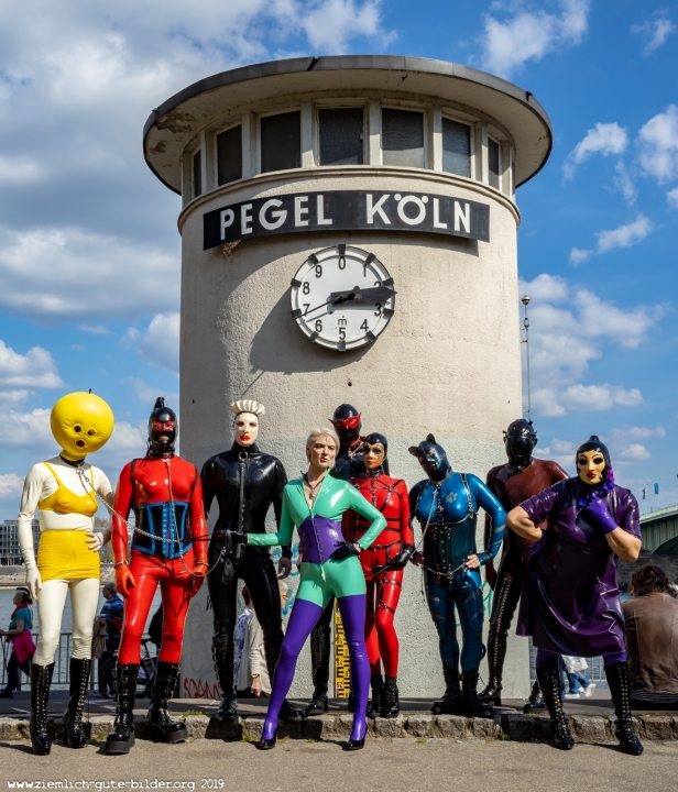 Pegel Köln am Rhein