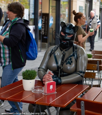 Katzentatze vor dem Hotel Daniel