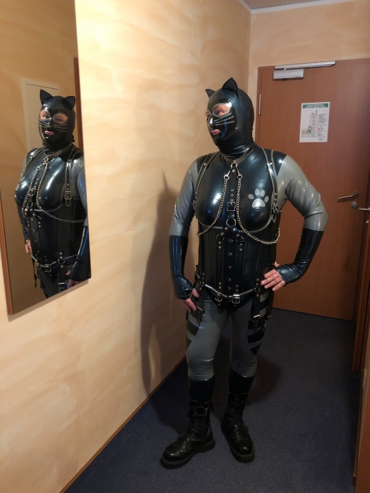 eine Katze im Ares