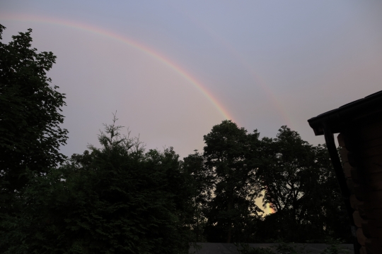 Regenbogen