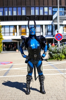 DevilCat on the road
