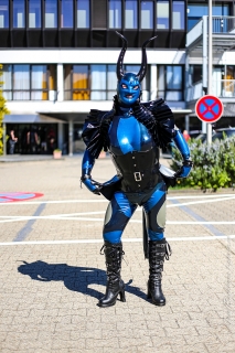 ein DevilCat macht sich schön