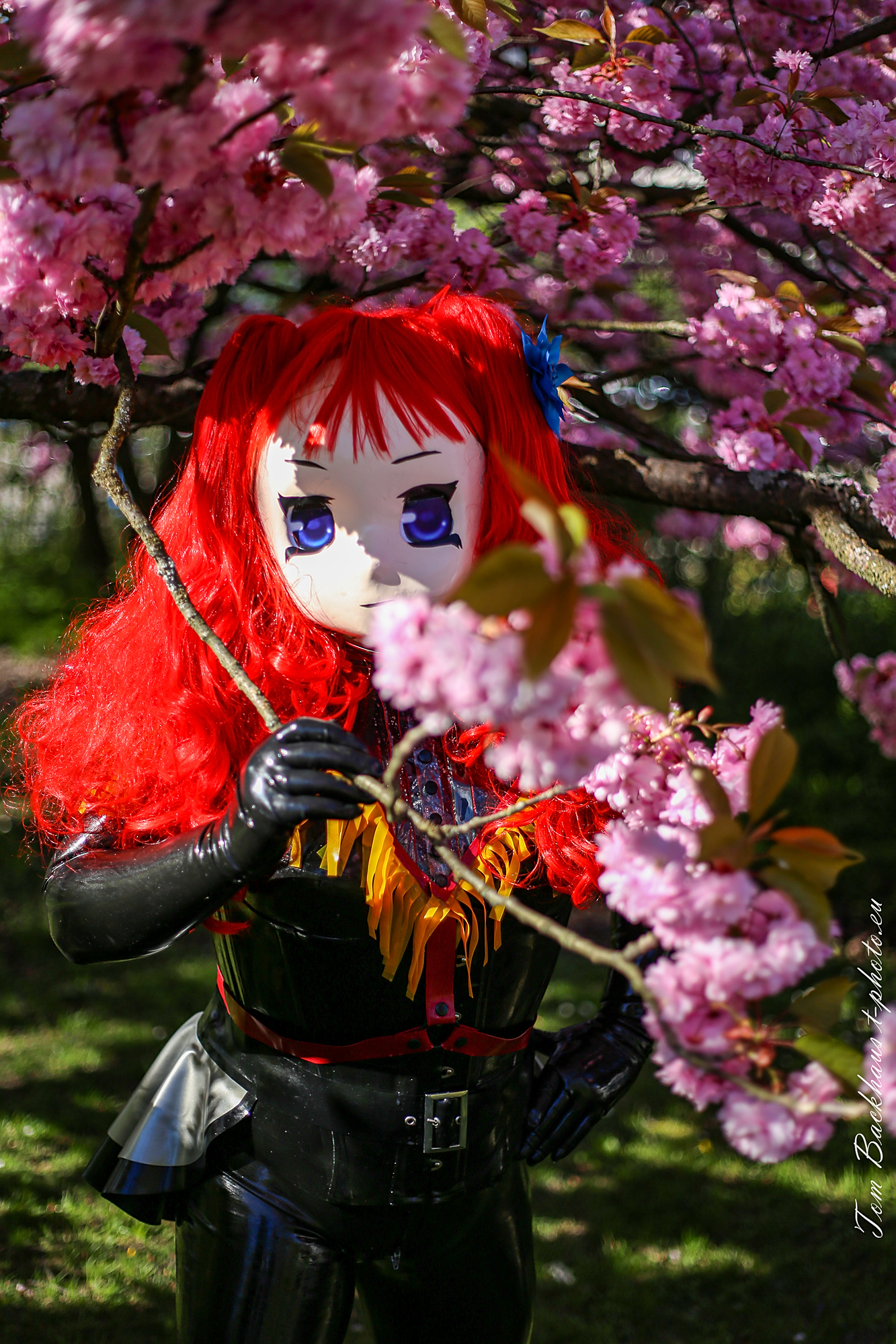 Majikku Kig und die Kirschblüte