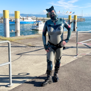 Die Katze auf dem Pier ganz hinten