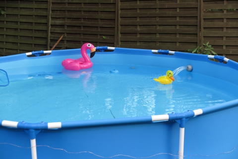 Flamingo und Entchen baden schon