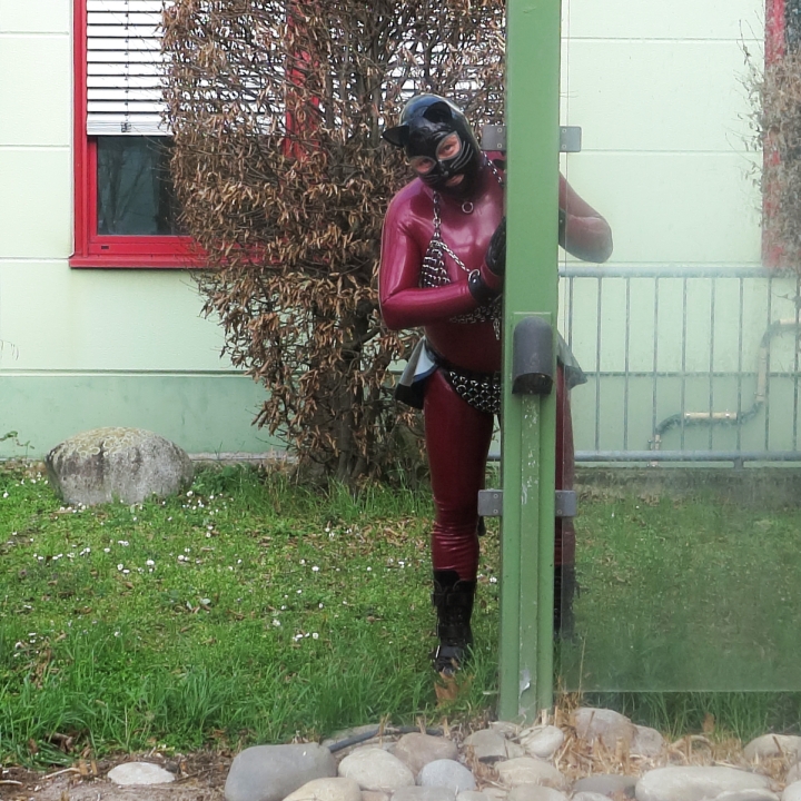 (W6) Katzentatze outdoor