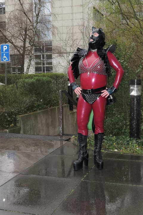 Katzentatze draussen im Regen im metallic roten BBC