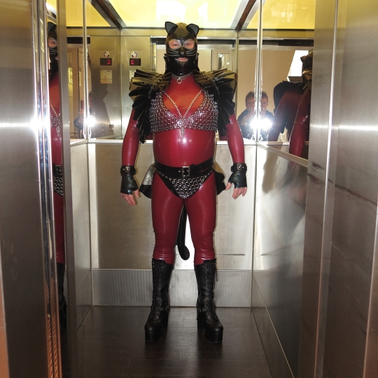 Katzentatze im Fahrstuhl im metallic roten BBC