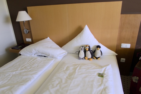 Pension Geno. unser Bett mal wieder okkupiert