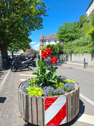 Meersburg am Hafen