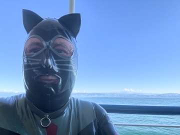 eine Katze vor den Bergen