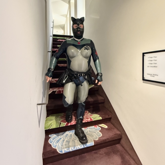 eine Katze im Hotel