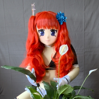 Majikku hinter der Blume