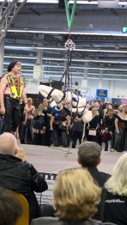 Die Show von Visage_Deux