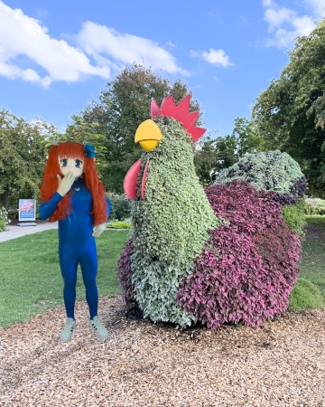 IMG_1622-IMG_9334-insta